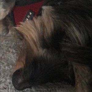 Meet your Posher, Gretchen